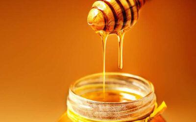 Honungsproduktion